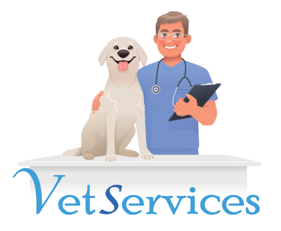 logo2-removebg-preview